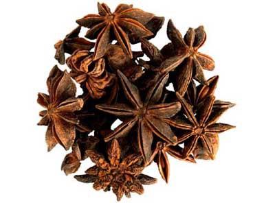http://alsolespices.com/spring-star-anise/